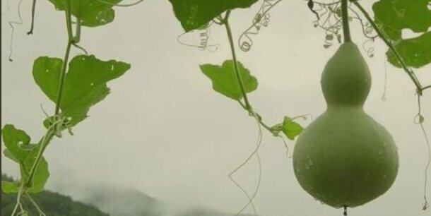 sararahoho's profile banner image