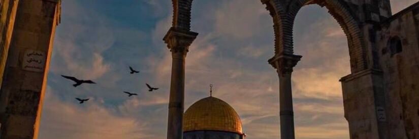 أحمد القاري's banner