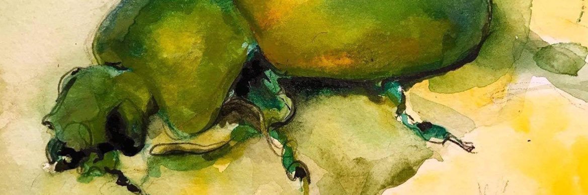 TheDrawingEye's profile banner image