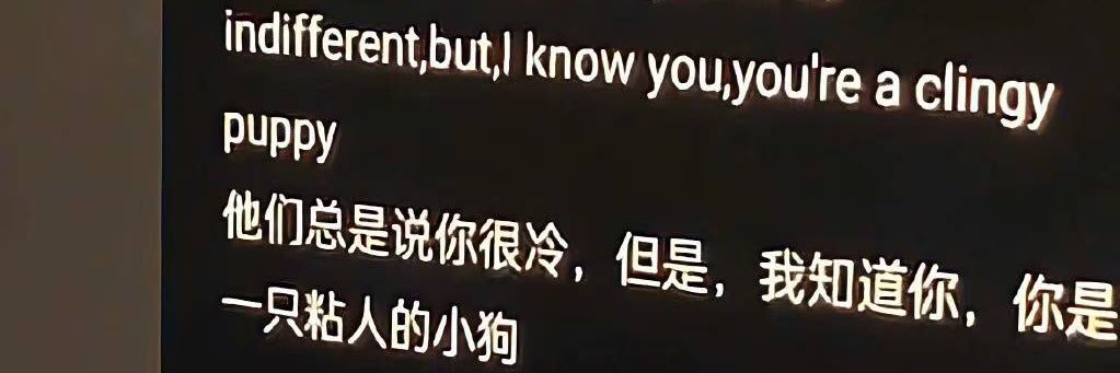 小猫新福 banner