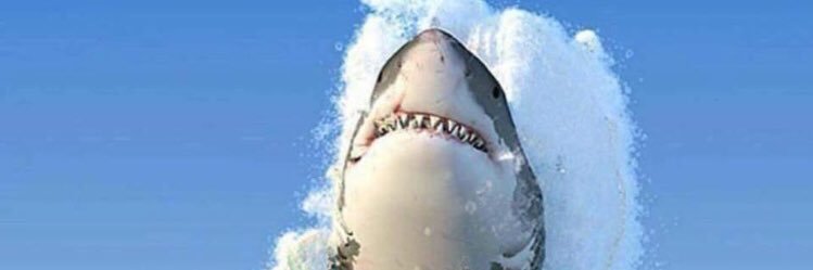 stanm55's profile banner image