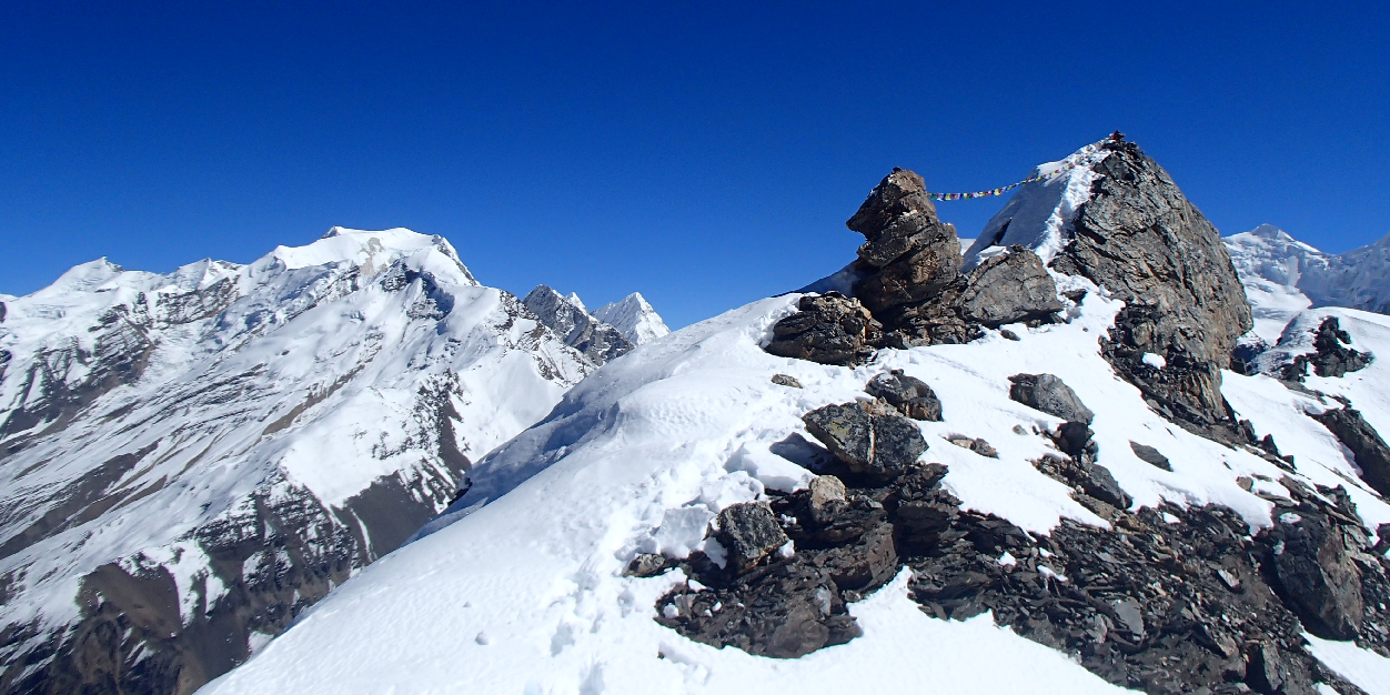 Bug Wrightson banner