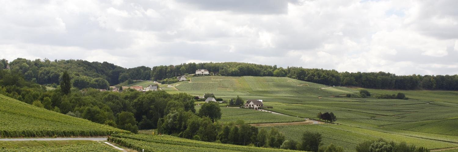 Champagne_CVB's profile banner image