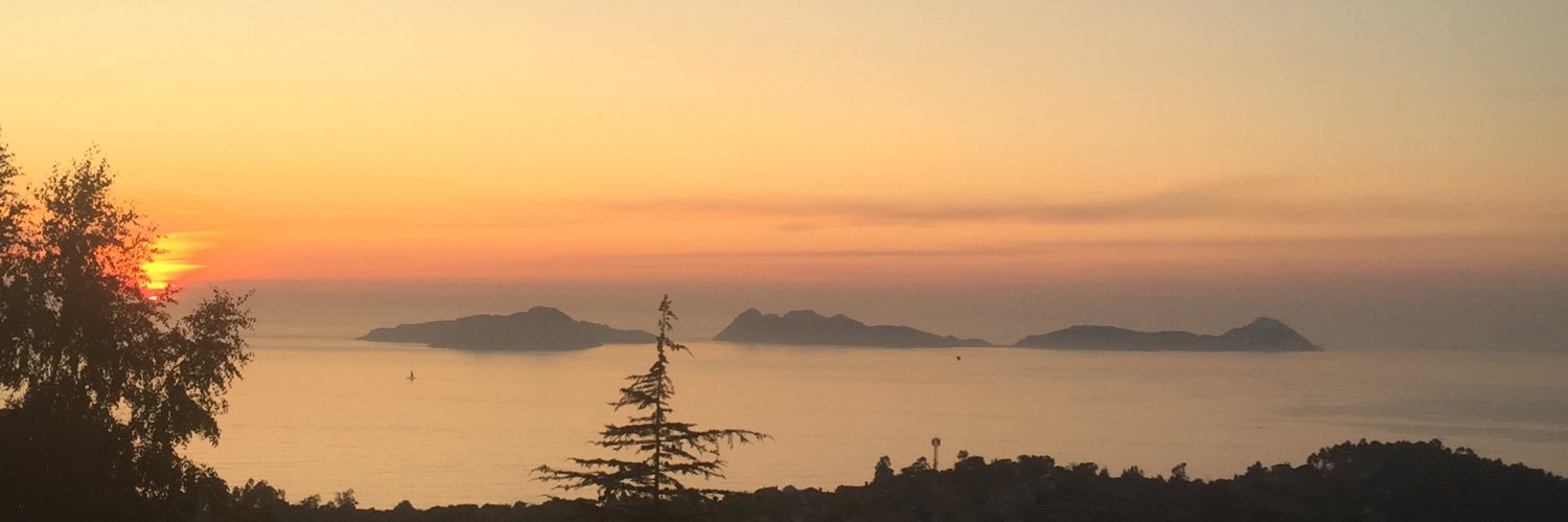 OPI (Antonio Carpio) banner