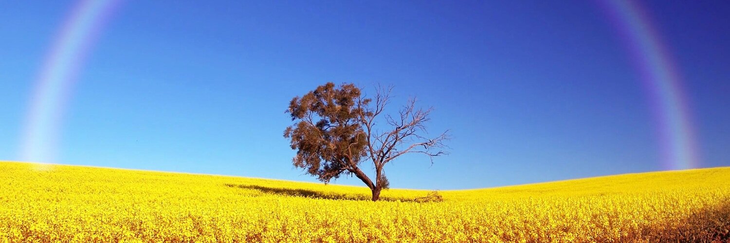CaciqueFILMS's profile banner image