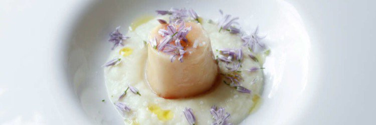 Günter Seeger banner