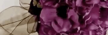 ZAlref's profile banner image