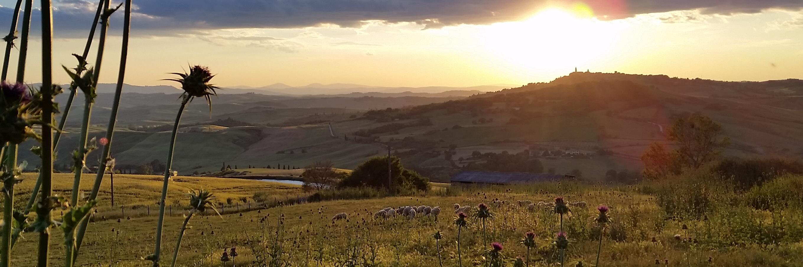 HelloAdamio's profile banner image