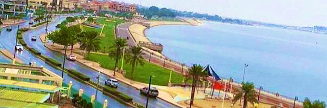 Dr. Dalal Alshangiti banner