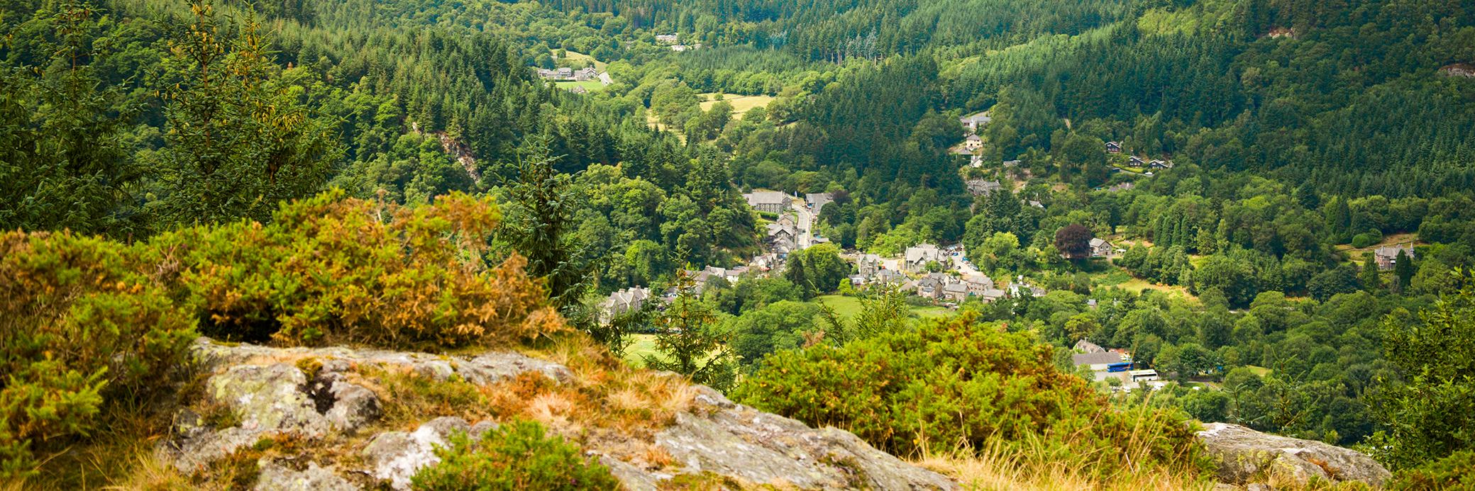 World Mountain 2015 banner