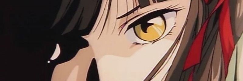 knm1976's profile banner image