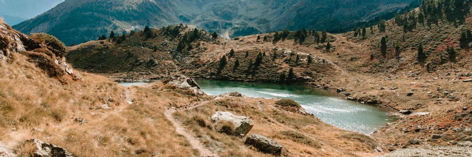 Albert Fernandez banner