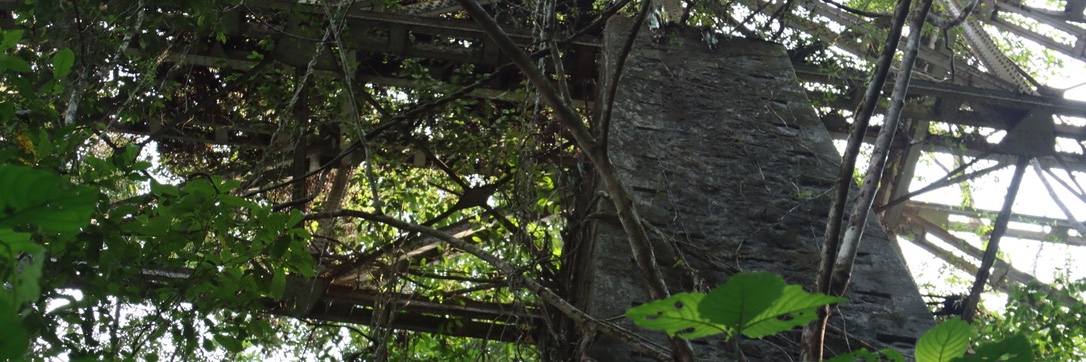 Emmanuel NGUE UM banner