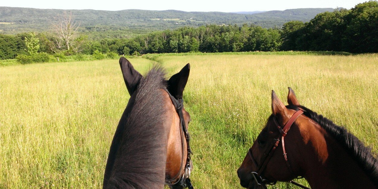 SuperRoverOTTB's profile banner image