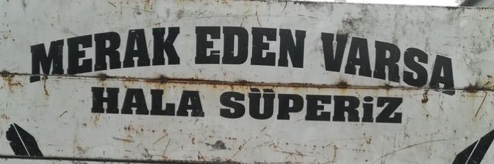 zena banner