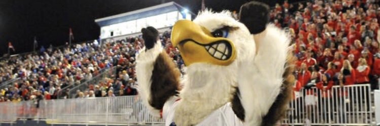 Mr. Skaalerud banner