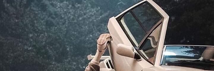 vegiacomini's profile banner image