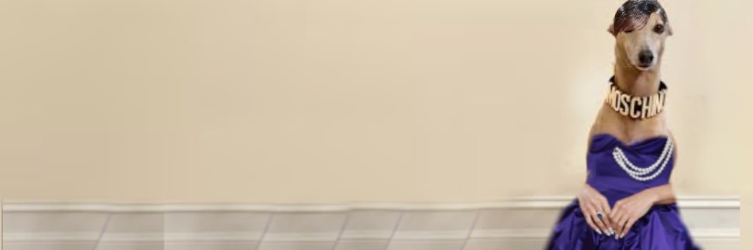 Victori4nus's profile banner image