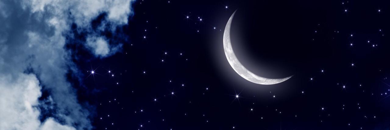 rickortreeeat's profile banner image