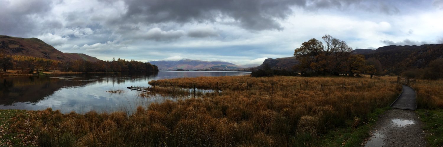 David Bannister banner