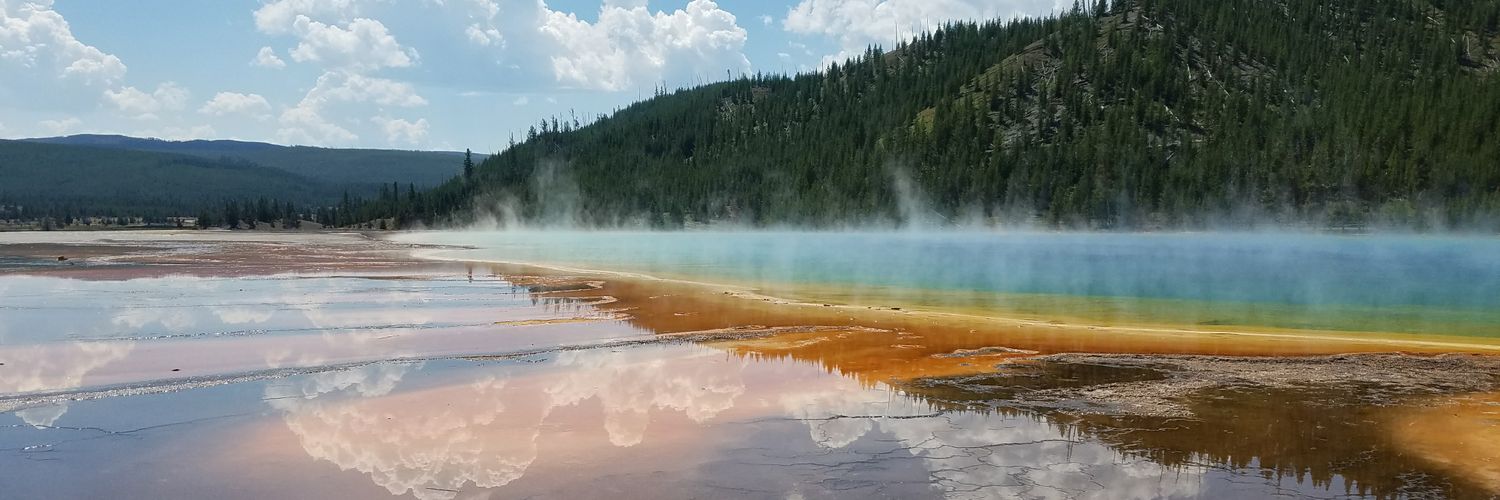 Sarah Quatela banner