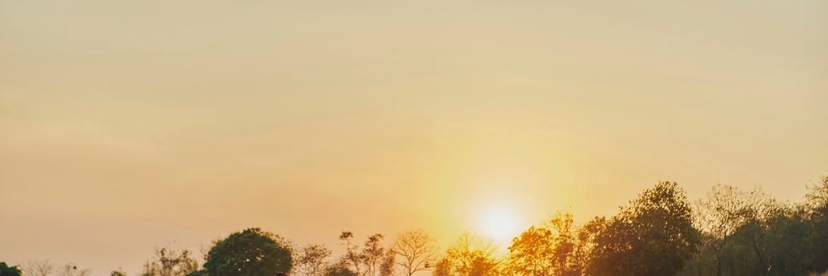 sushinakrub's profile banner image