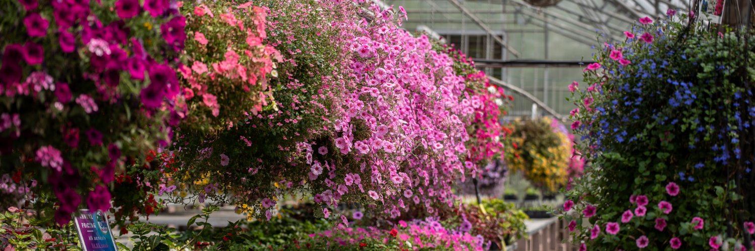 _GreenOasis's profile banner image