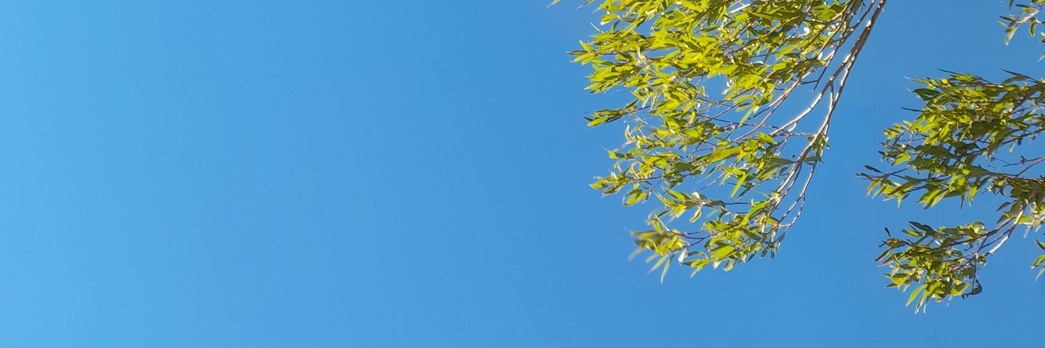 Rocio2799's profile banner image
