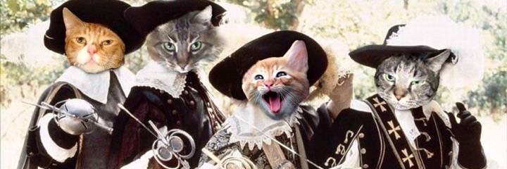 TurntableKitty's profile banner image