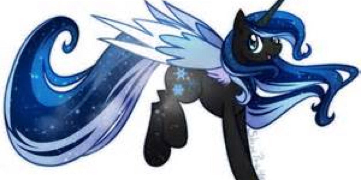 CABALLEROSEISM's profile banner image