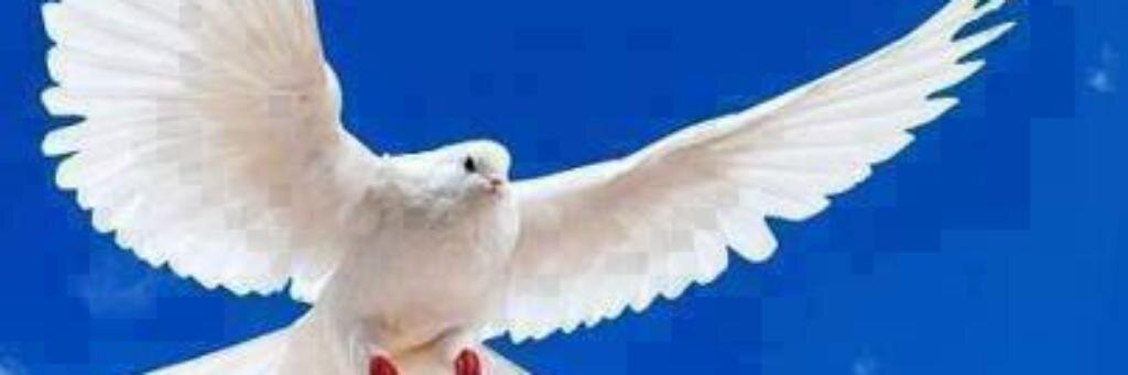 jamilsiddiq3's profile banner image