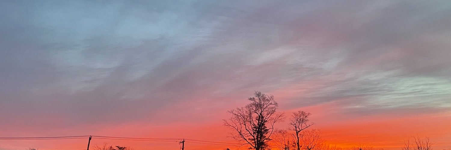 BreeAnne Coombs banner