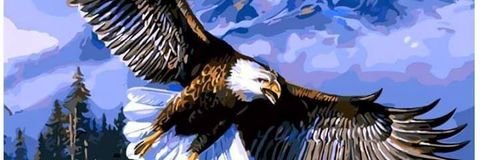 sangutrodgers's profile banner image