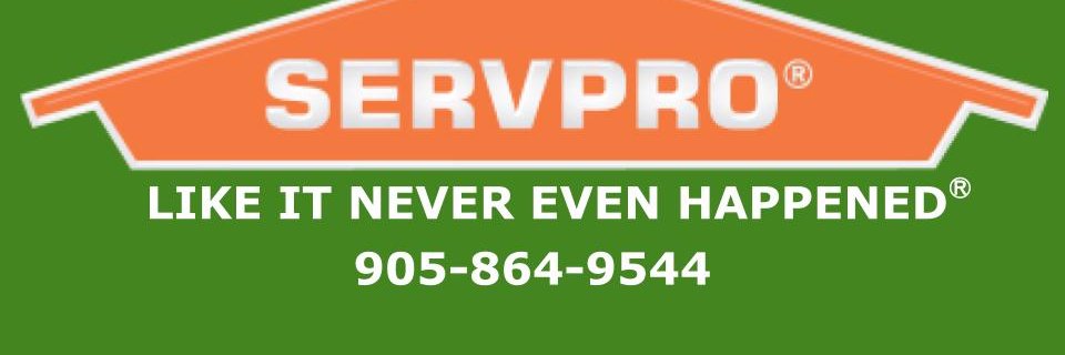 servpromilton's profile banner image