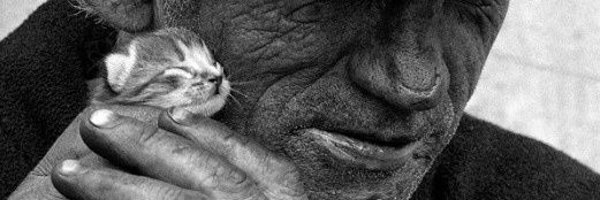 LuisaM56_ Profile Banner