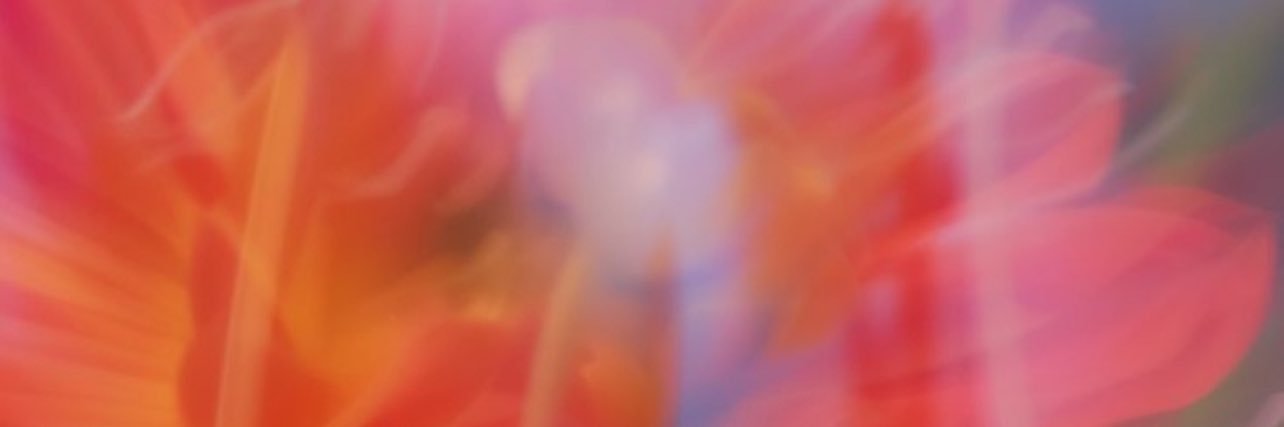 yoshdf3's profile banner image