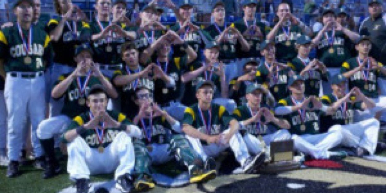 WpialBaseball's profile banner image