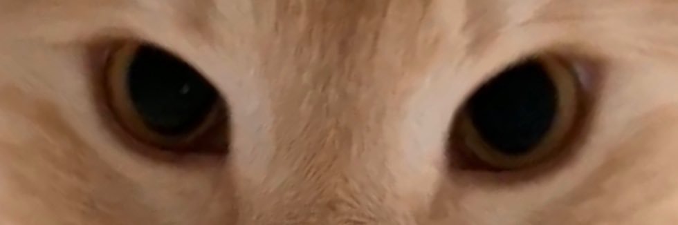 leasnipette's profile banner image
