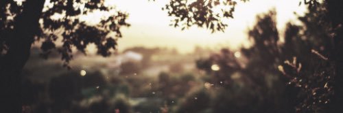 Meldina123's profile banner image
