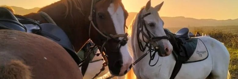 Kealeboga_M_'s profile banner image