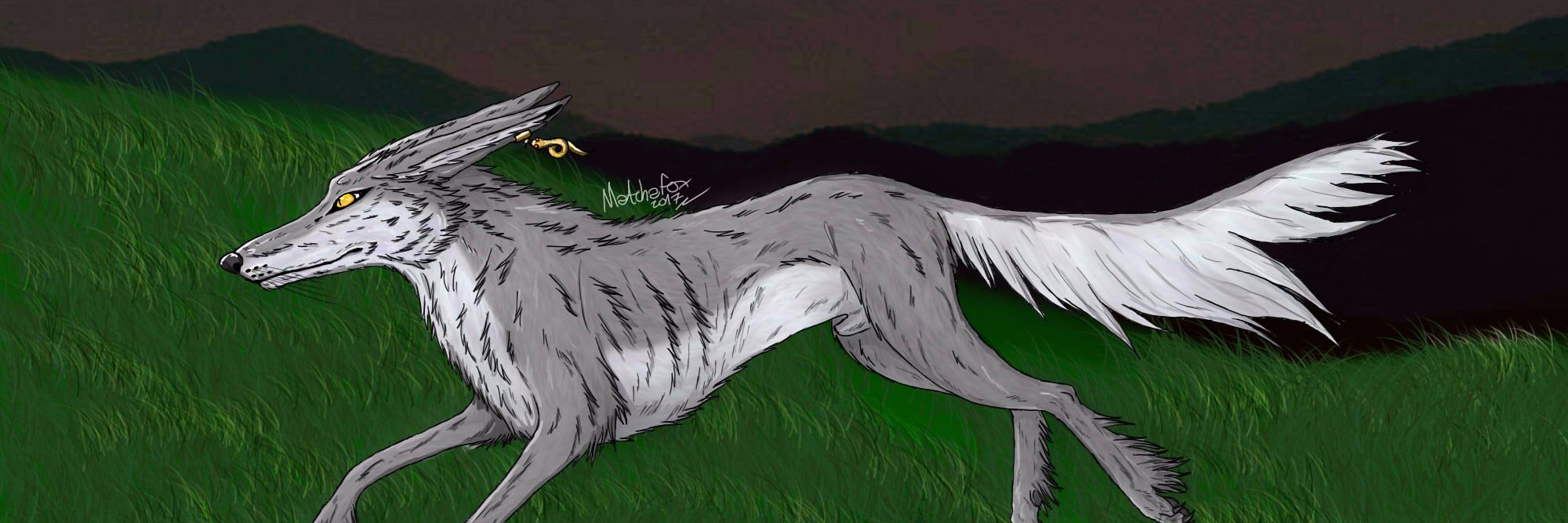 RaggedDreams's profile banner image