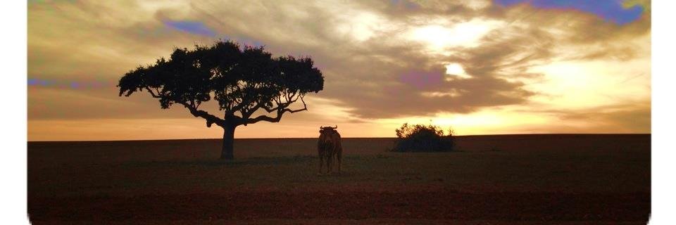 Ragile26's profile banner image