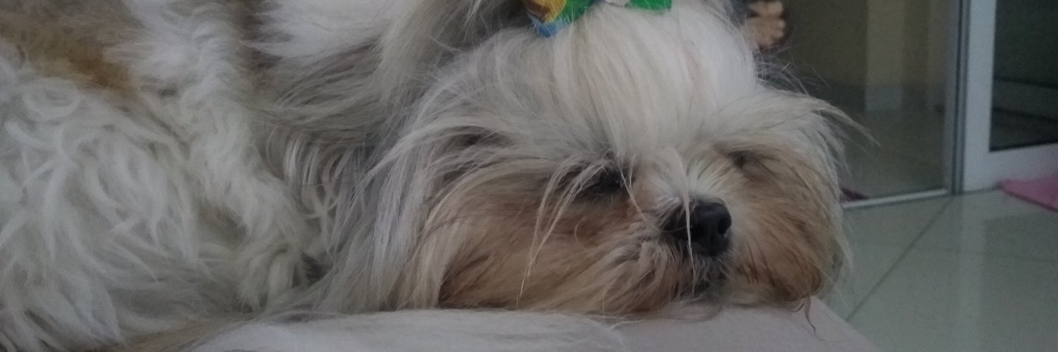 belepassinho's profile banner image