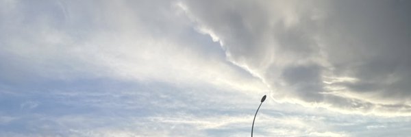 Amina_AK_N Profile Banner