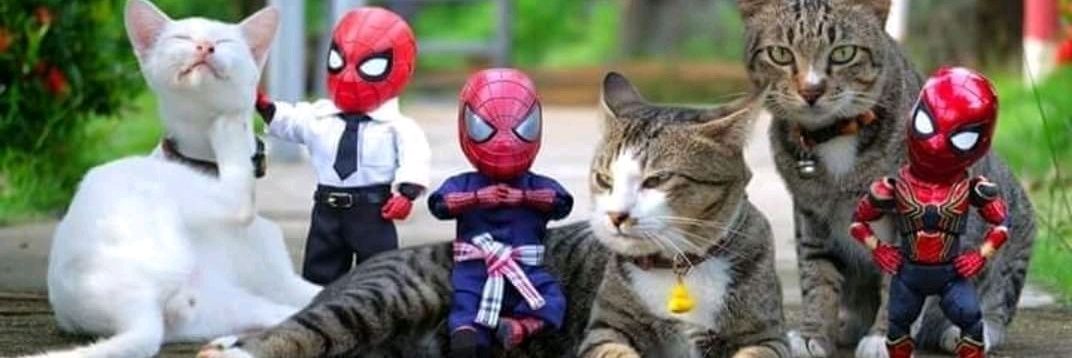 KiLLzEr0🛡️ banner