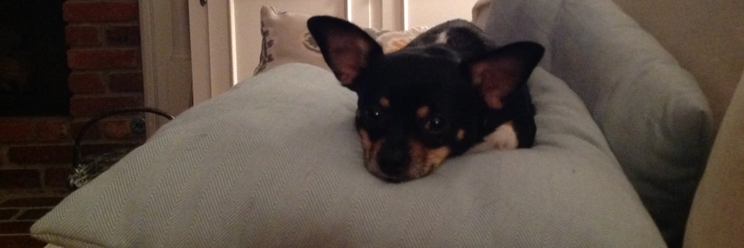 j_devaney's profile banner image