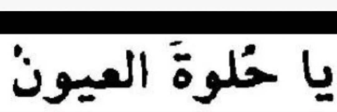 Noura 🐘 banner