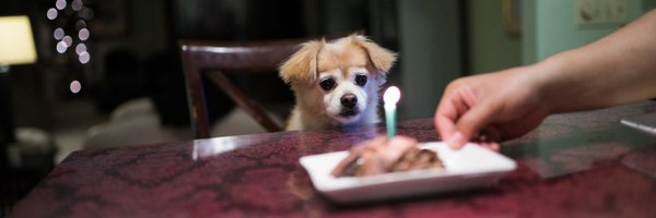 davidjeong Profile Banner