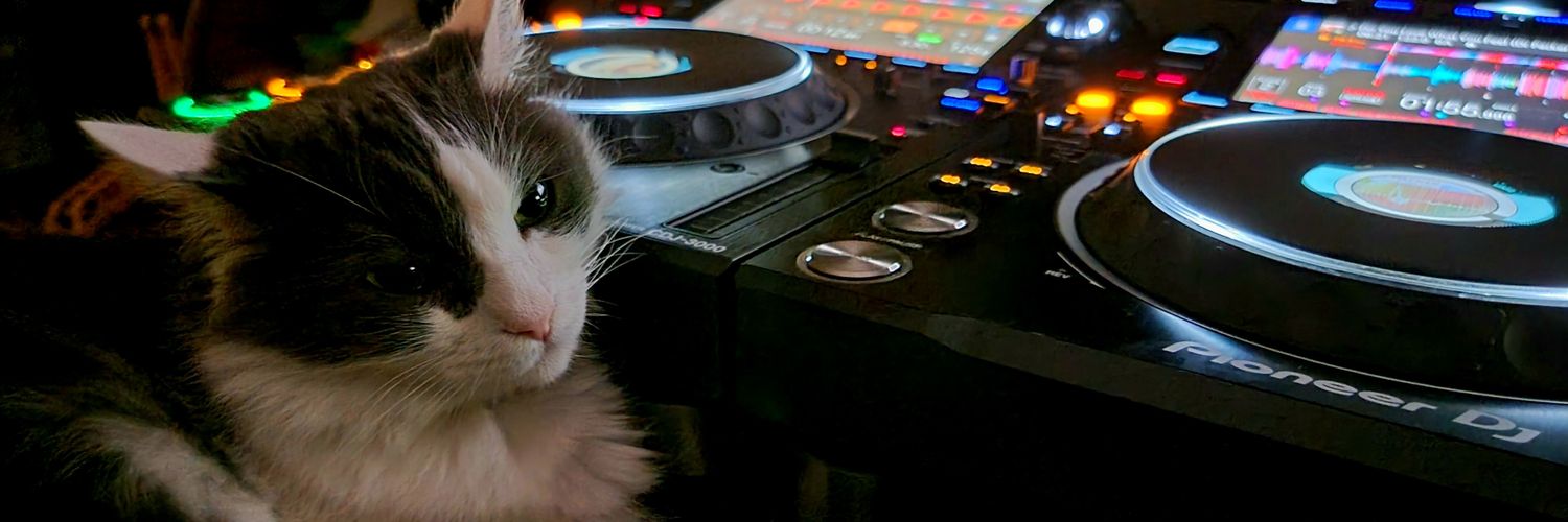 LARayRay's profile banner image
