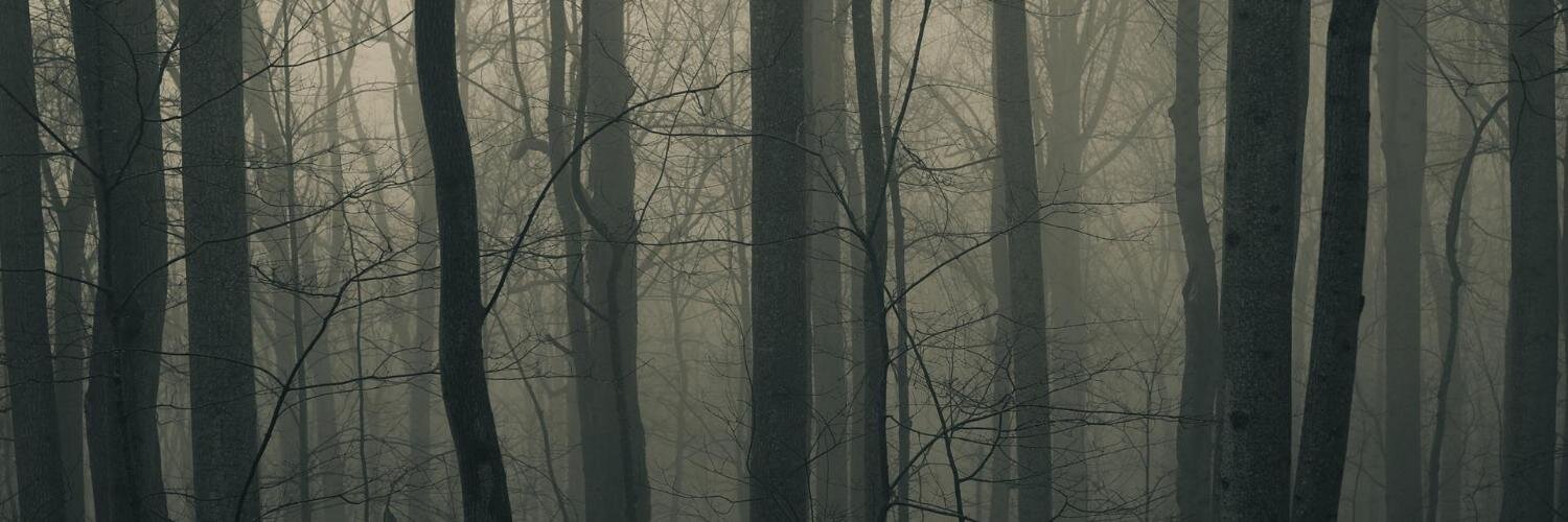waahsad's profile banner image